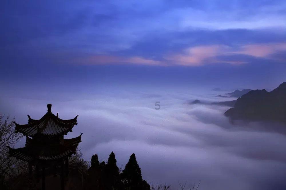 药明合联:股价及交投量异常变动 不知悉原因