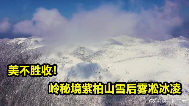 孩子偏科严重怎么办 家长怎样做最正确游戏画面