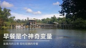 杀出重围人类分裂