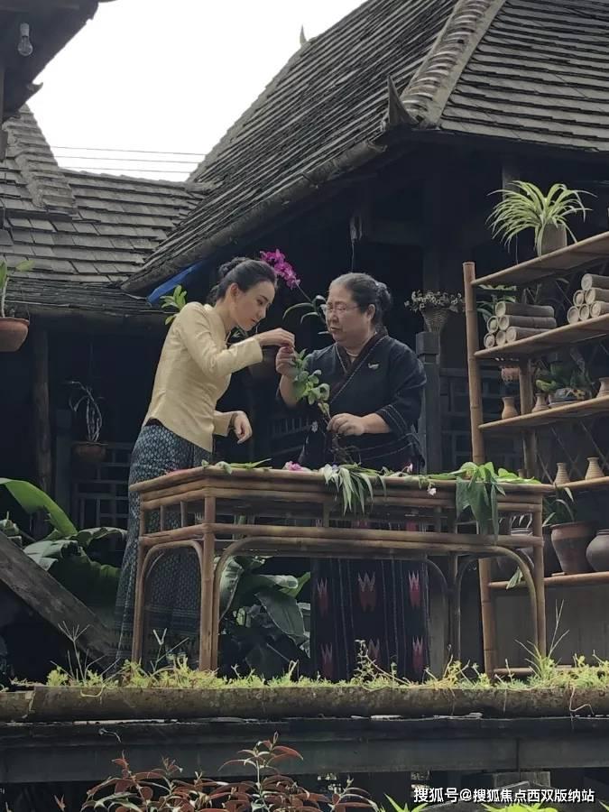 意想不到的旅程