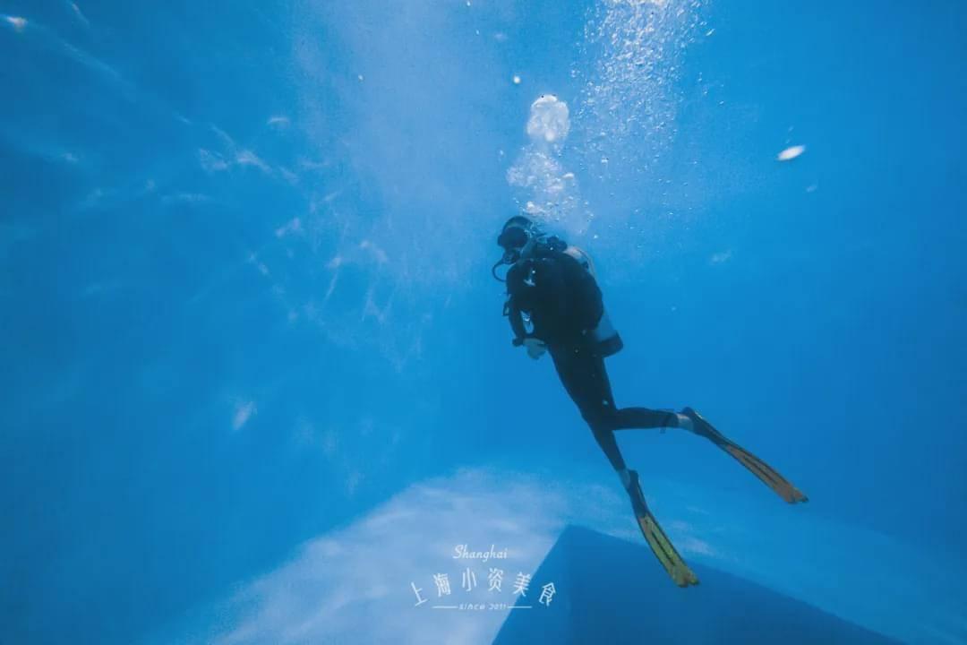逗小猴开心系列173