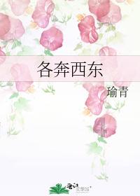 救援有趣的孔雀
