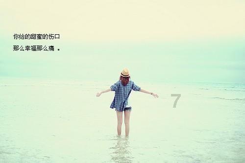 赛车计划2