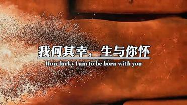 要塞十字军东征2