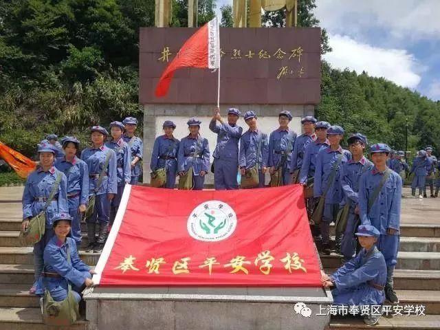 白孔雀救援