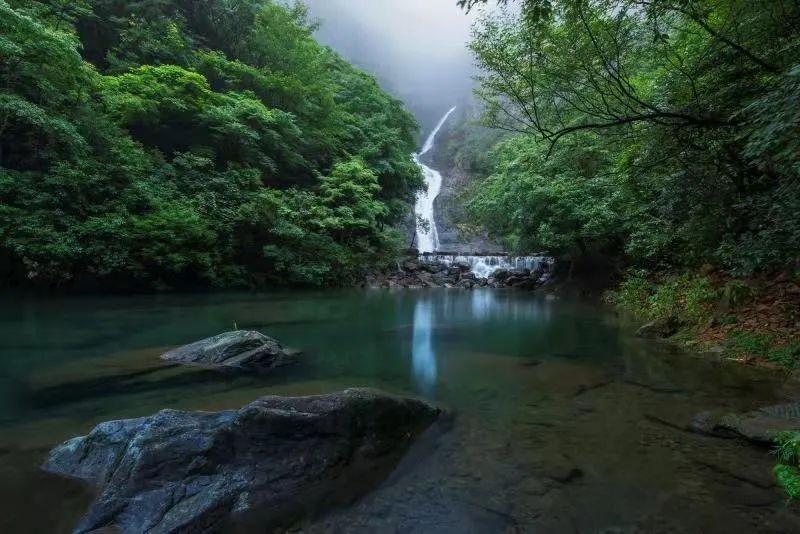 蜗牛寻新房7