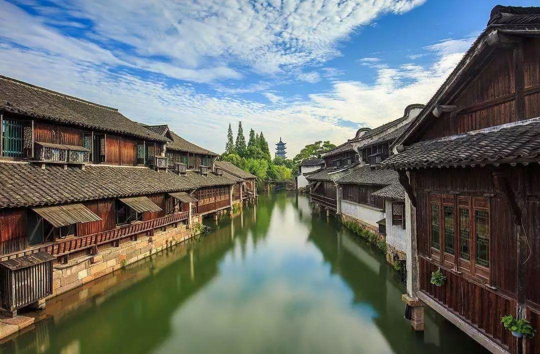 中国烤饼机行业市场行情监测及发展趋向研判分析